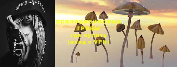 трава Новокубанск