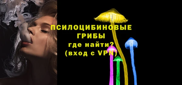 трава Новокубанск