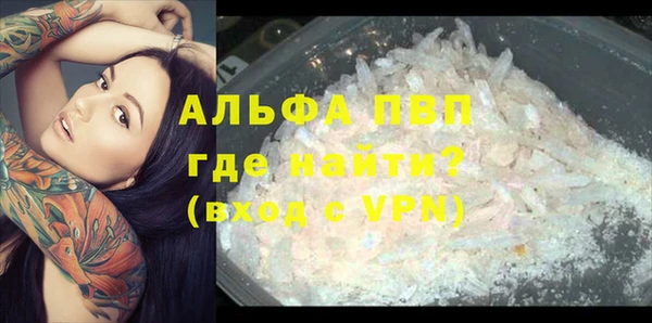mdpv Новозыбков
