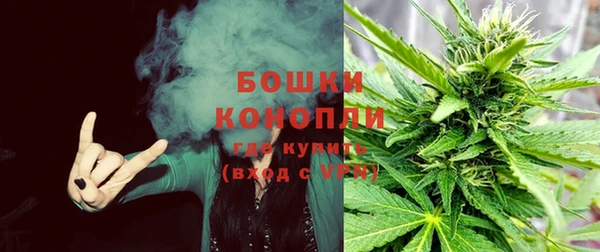mdpv Новозыбков